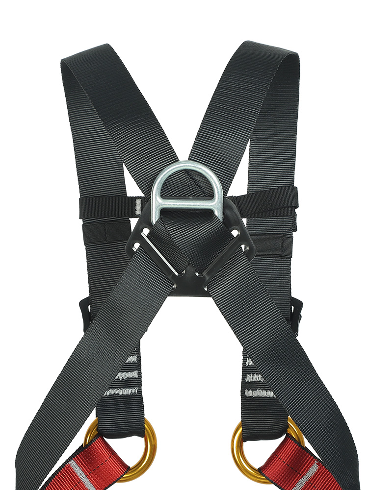 Cinturón de Seguridad para Niñ - Kids Outdoor Climbing reseña y precio