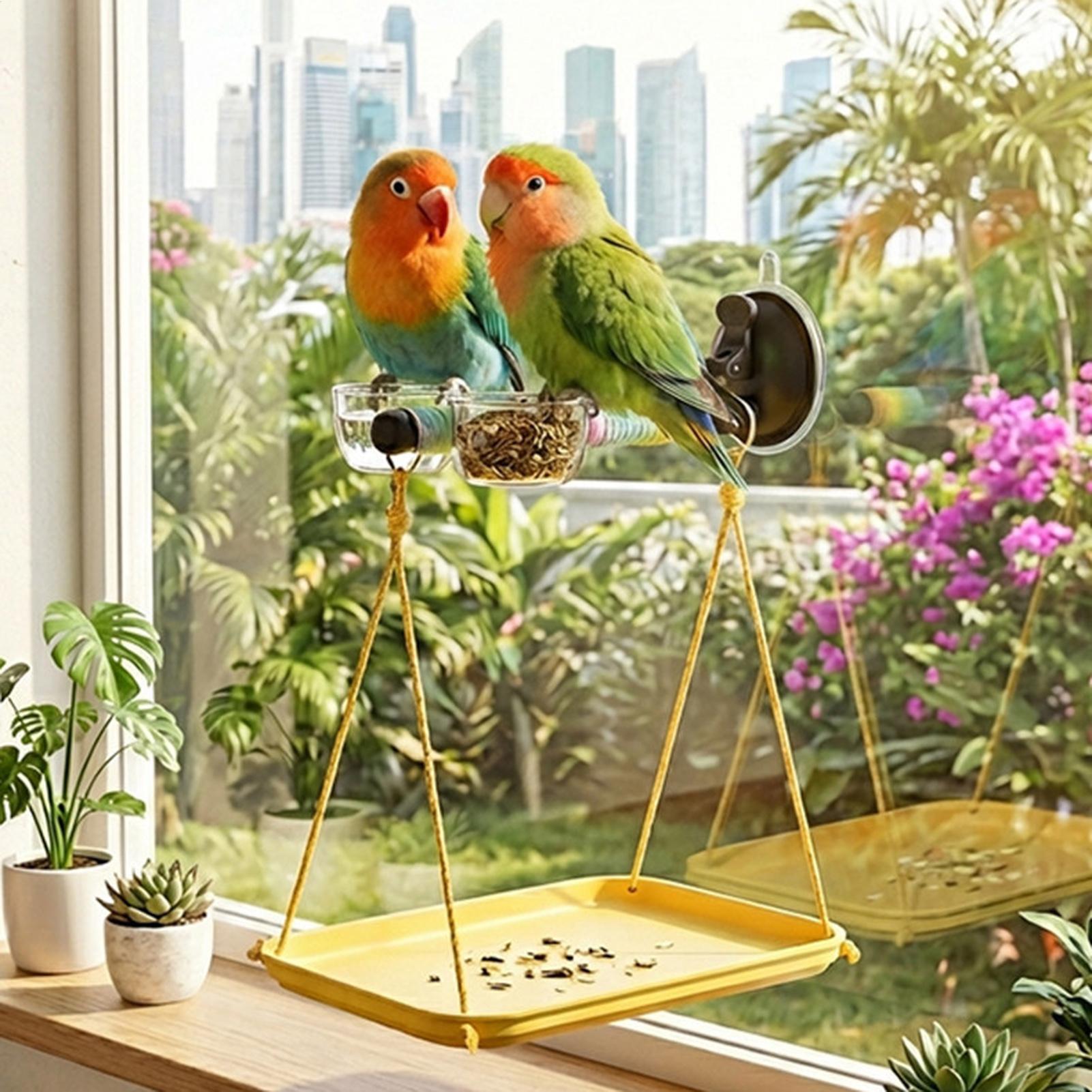 Juguete de ventana para pájaro - Kids Outdoor Car reseña y precio